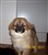 mimmi2-6-2-11.jpg